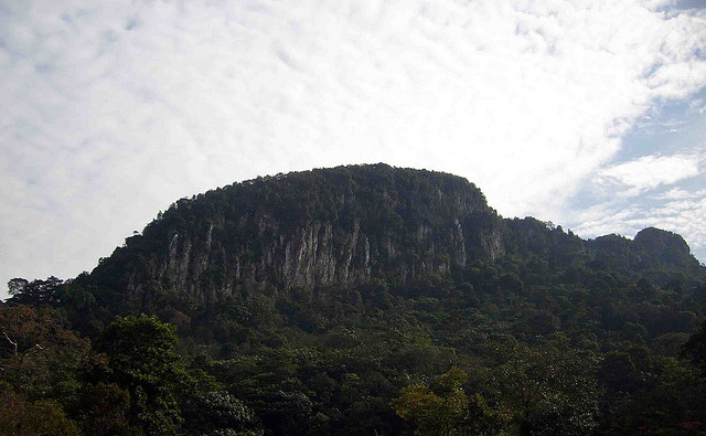 UNESCO: Pencalonan FRIM, PKGS 2021 & 2022