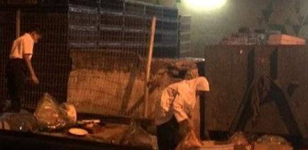 LZS mahu netizen selidik dahulu sebelum tular