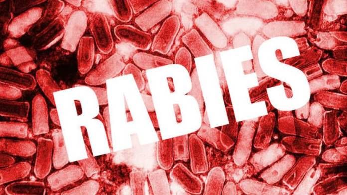 Warga emas maut akibat virus rabies di Sarawak