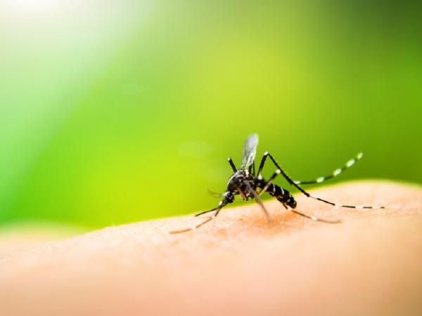 MPK Gives RM5,000 for Council Members to Prevent Dengue