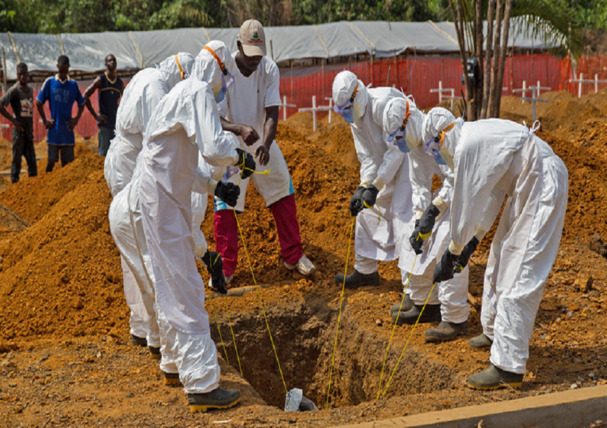 PBB: 537 kematian akibat Ebola di Republik Demokratik Congo