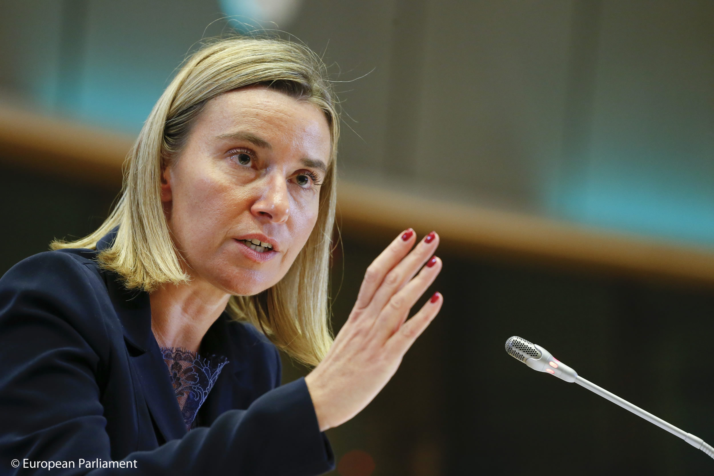 EU ikrar bantu pelarian Syria pulang dengan selamat