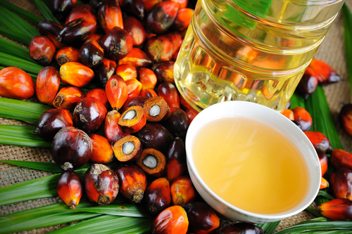 Stok minyak sawit turun 4.08 peratus pada November
