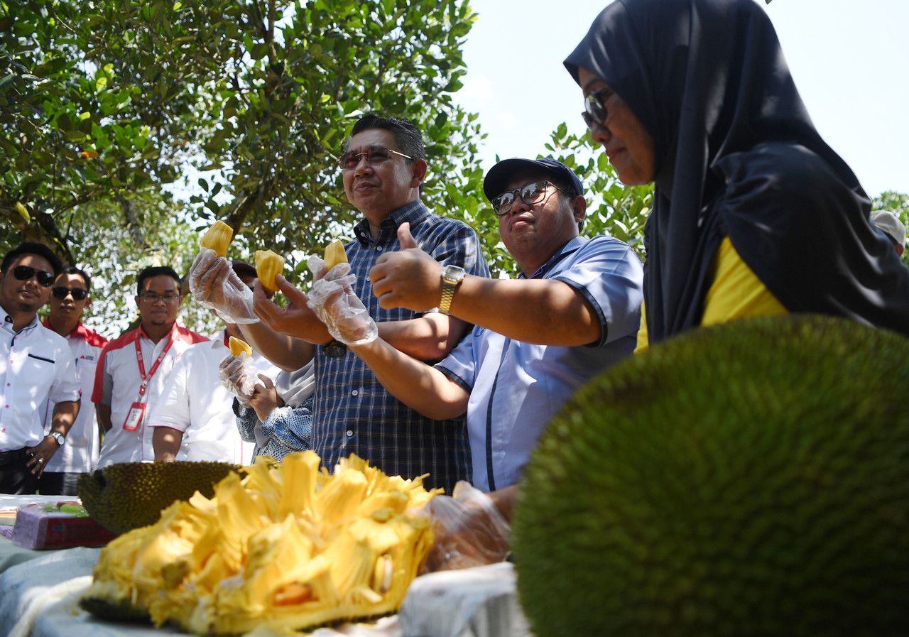 Tingkat kajian saintifik dan pemasaran nangka madu