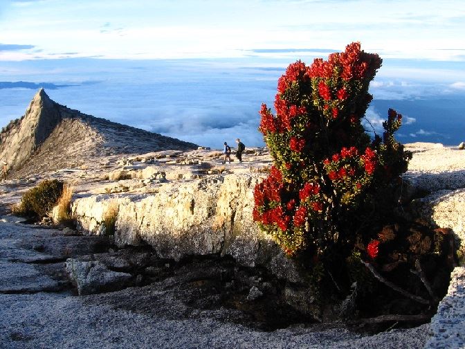 Jumlah pendaki Gunung Kinabalu dinaikkan 165 orang setiap hari