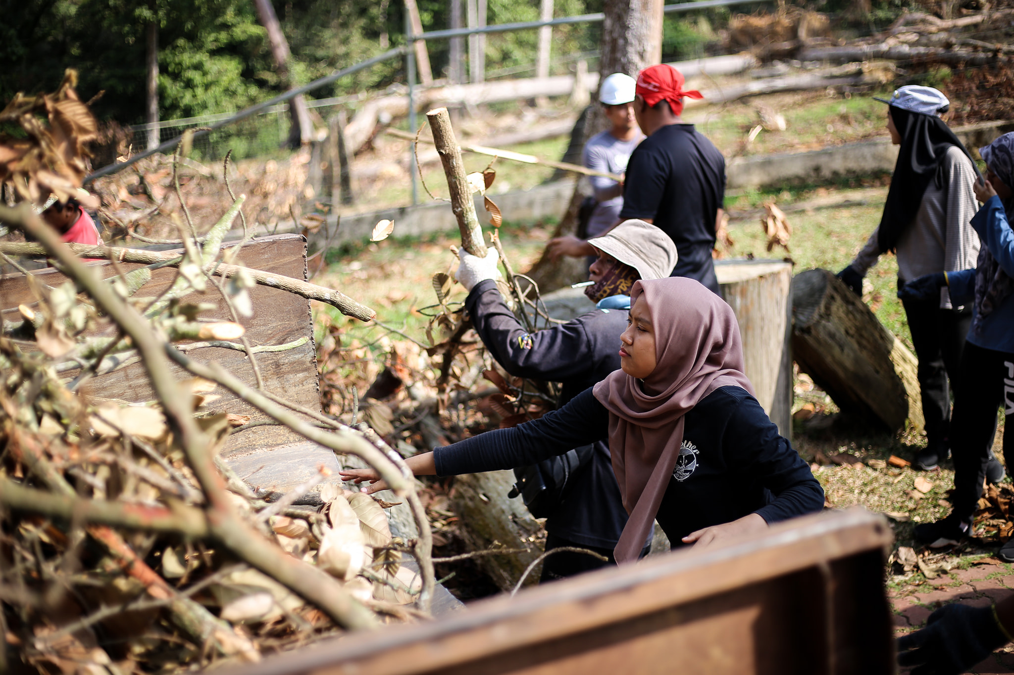 Taman Botani lanjut tempoh penutupan
