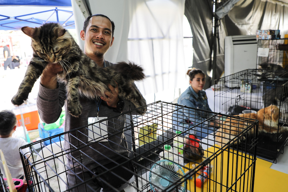 Mini Zoo tarikan di Karnival 3W