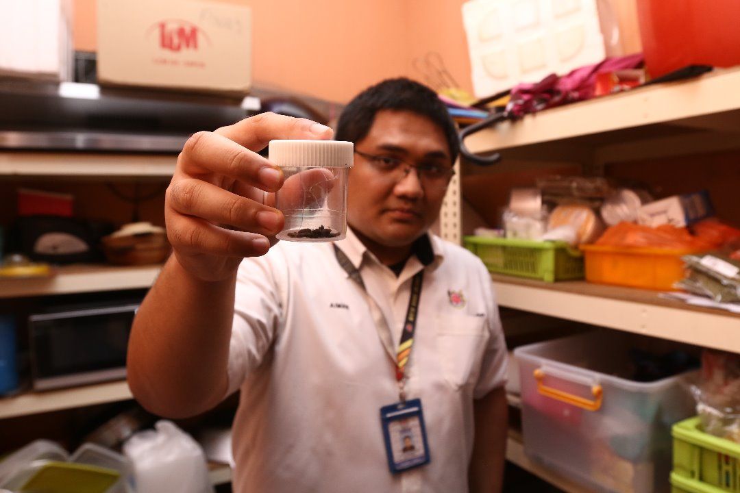 MBSA tutup 26 premis makanan kotor