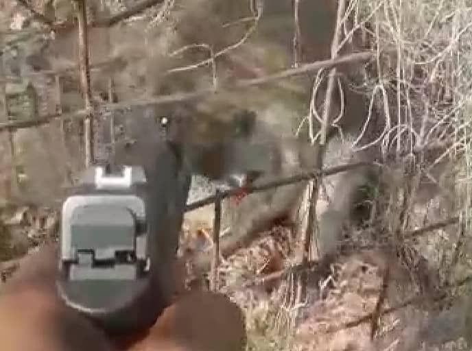 விருப்பப்படி குரங்கை சுட்டதை இளைஞர் ஒப்புக் கொண்டார்