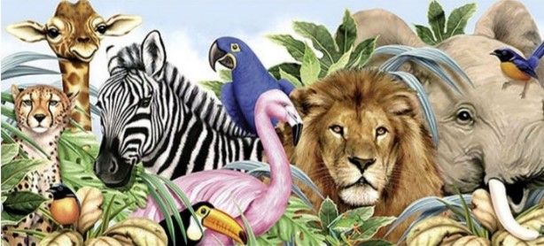 Britain umum RUU larang guna haiwan liar dalam sarkas