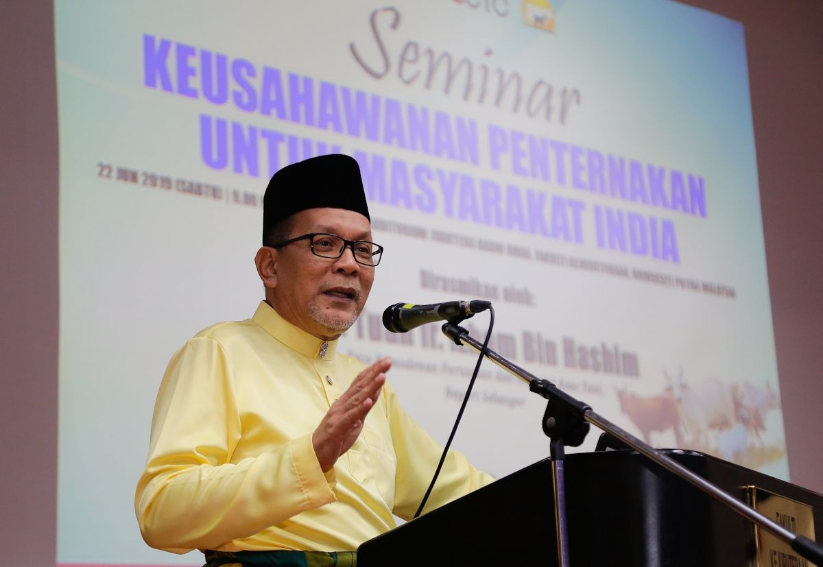 Pindah ke fidlot tangani isu lembu berkeliaran