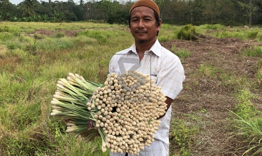 Serai Beranang 'laku keras''