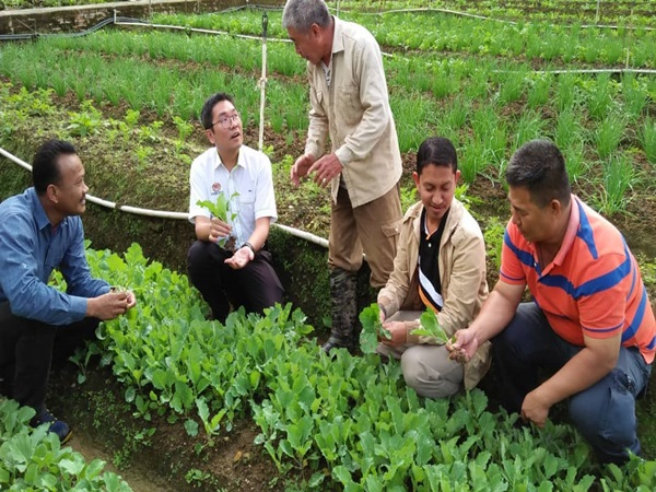 Penggunaan racun serangga di Cameron Highlands masih tinggi