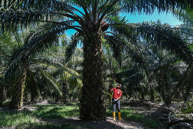 FELDA minta peneroka berubah jadi lebih berdaya maju