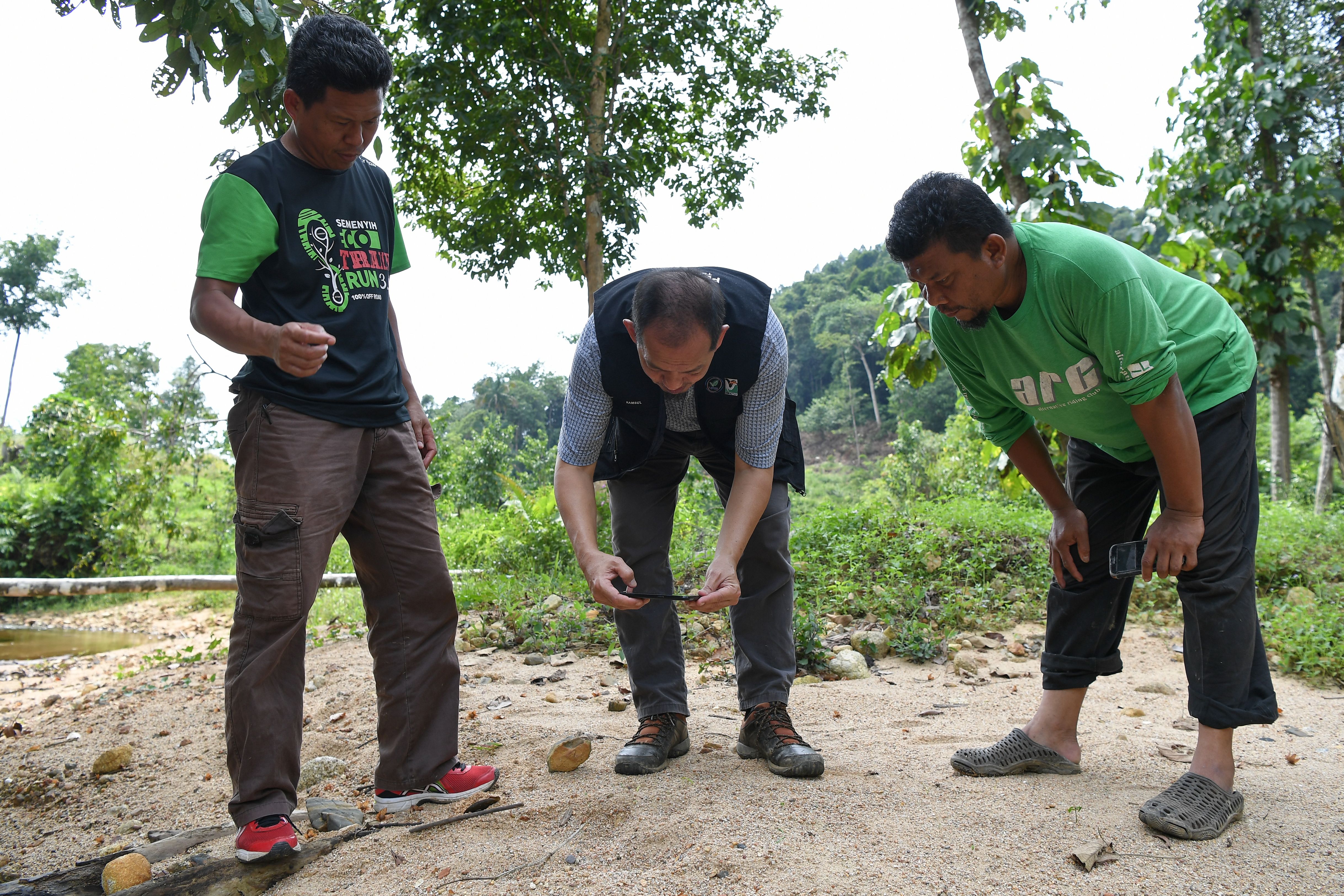 Penduduk kampung trauma kemunculan harimau