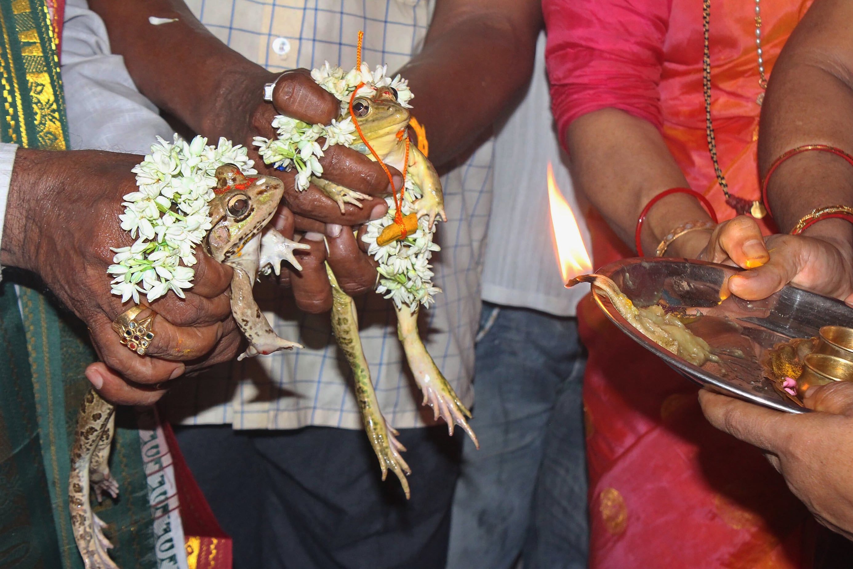 மலேசியாவில் கட்சி தாவல் "அரசியல் கொள்ளைநோயை" சமாளிக்கக் கடும் சட்டம் தேவை