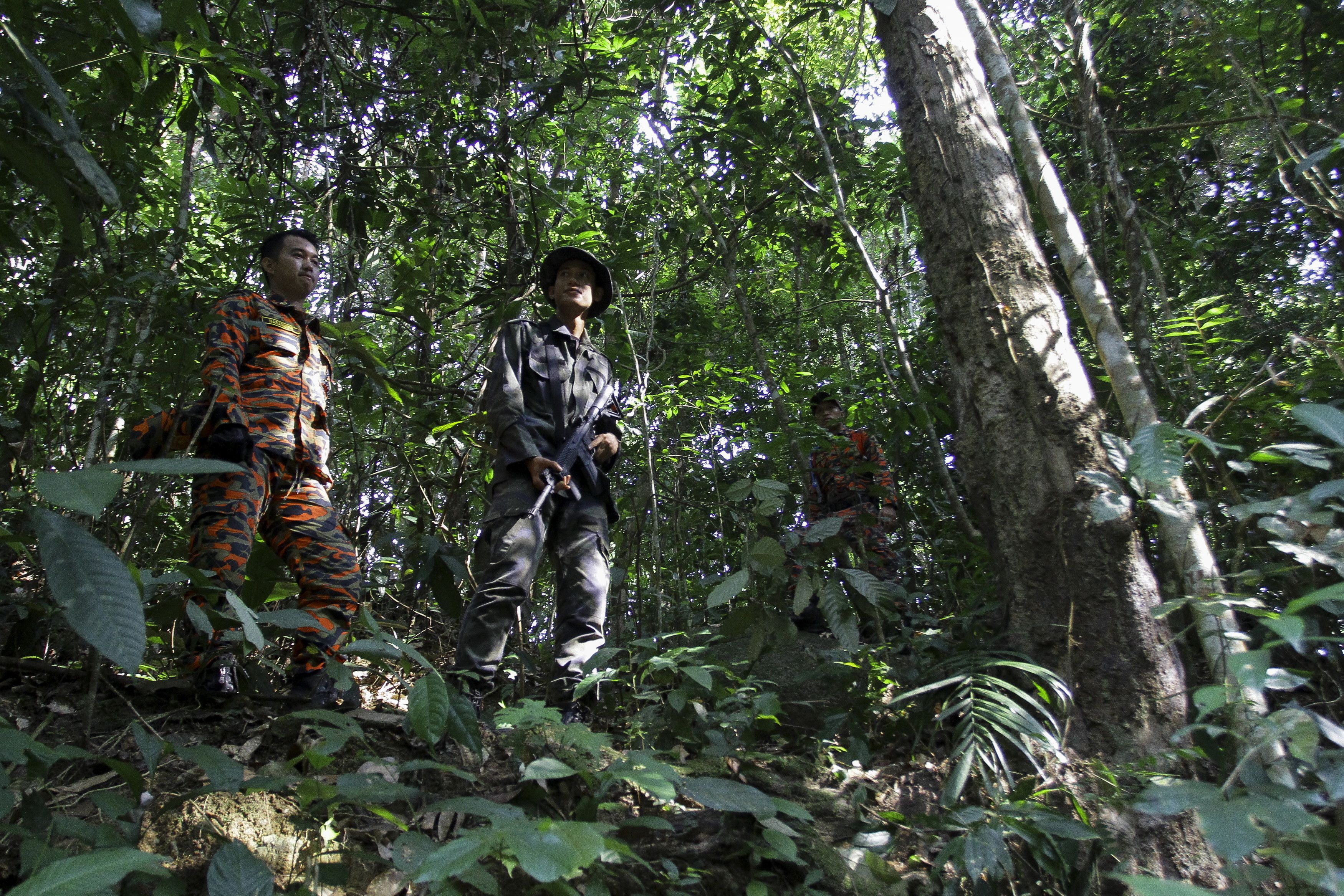 மாநிலத்தில் பாதுகாக்கப்பட்ட வனப்பகுதியின் அளவு தொடர்ந்து அதிகரிப்பு