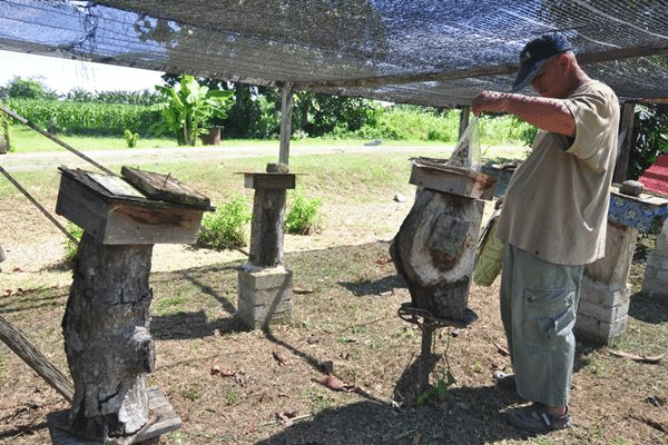 Industri kelulut mampu capai jualan RM3.03 bilion setahun