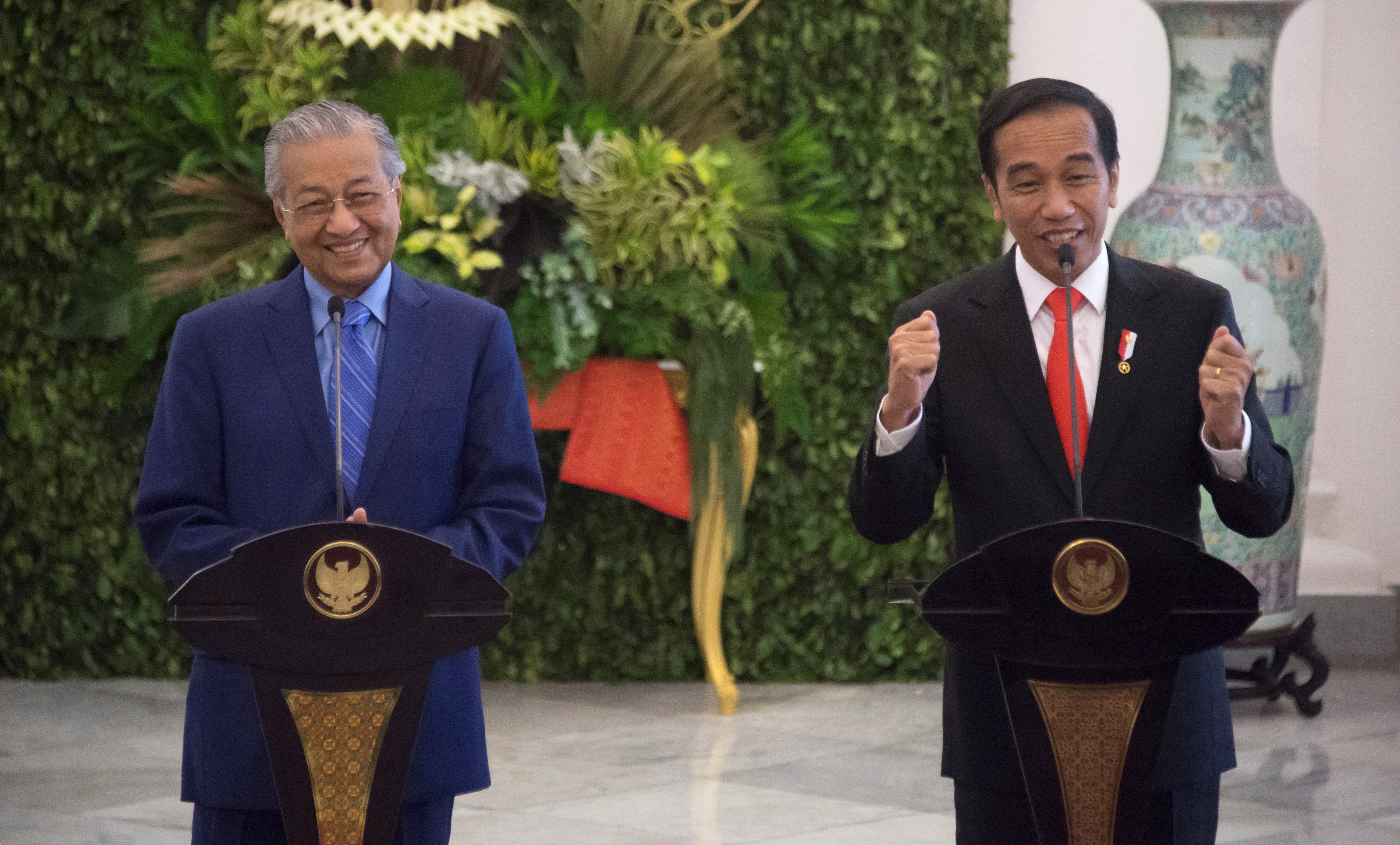 Jokowi bertemu Tun Mahathir 8 Ogos ini