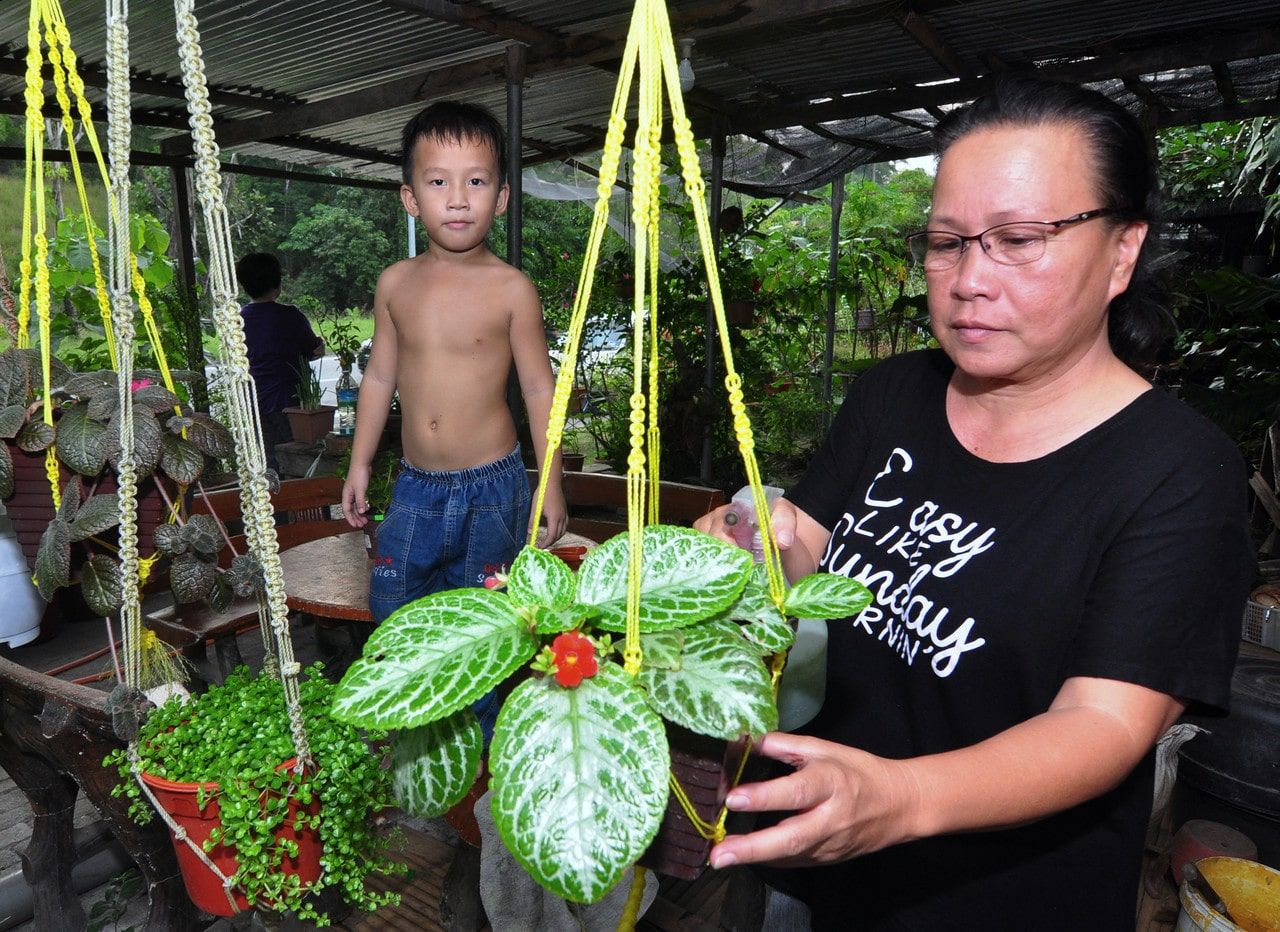 Ibu tunggal besarkan 6 anak berkat niaga pokok bunga