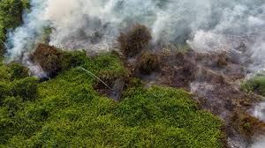 Schools Advised to Remain Close until Forest Fire Situation Improves