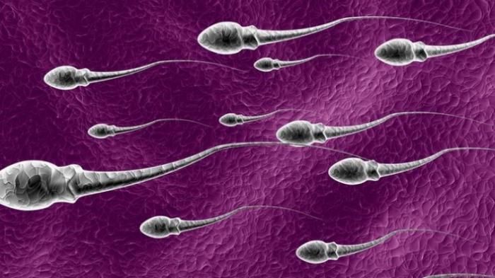 Hajat pilih jantina anak hampiri kenyataan