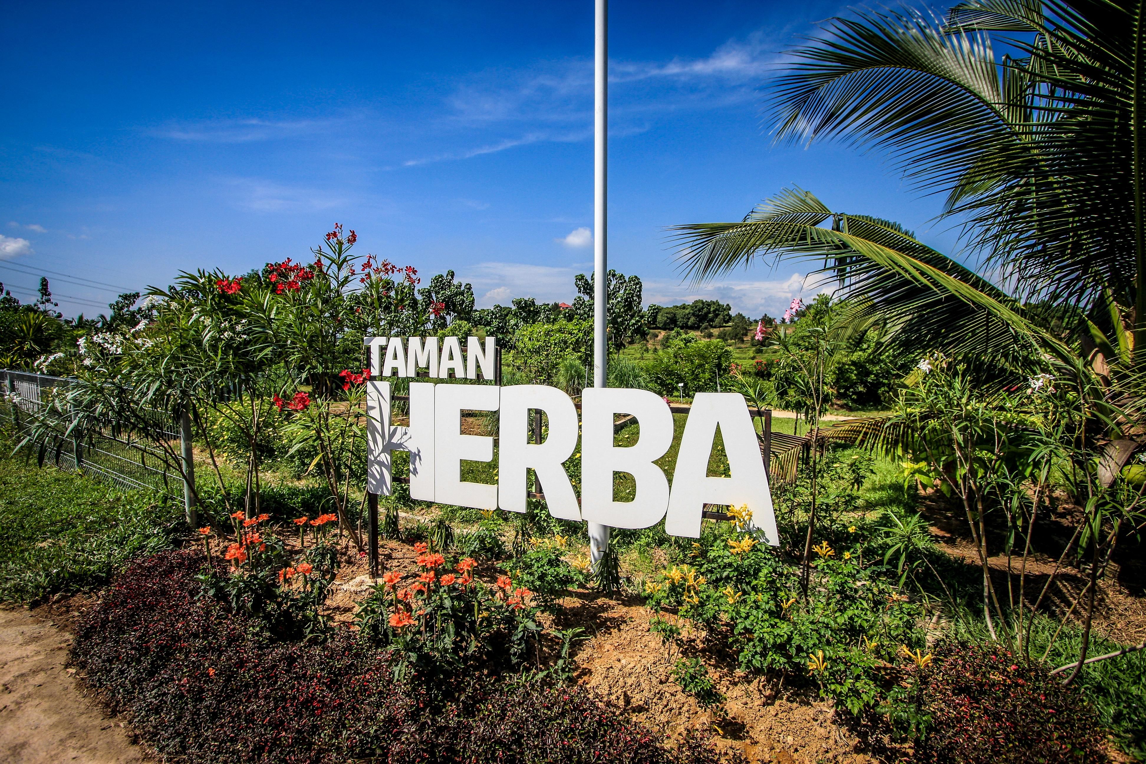 雪水果谷出租农耕地  即起至10月初供申请