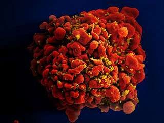 Scientists Found Mechanism to Neutralise Aids Virus