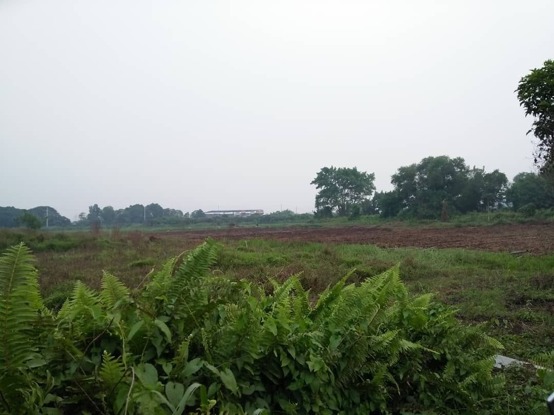 Tiada pembakaran terbuka di Johan Setia