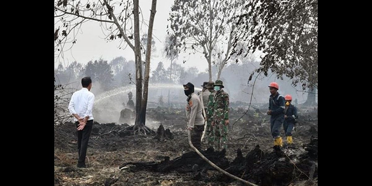 建议赋治外法权  查尔斯促严惩致烟霾境外公司