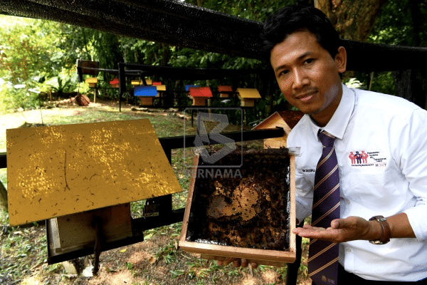 யுஎஸ்எம் ஏற்பாட்டில் தேன் தயாரிப்பு பயிற்சி