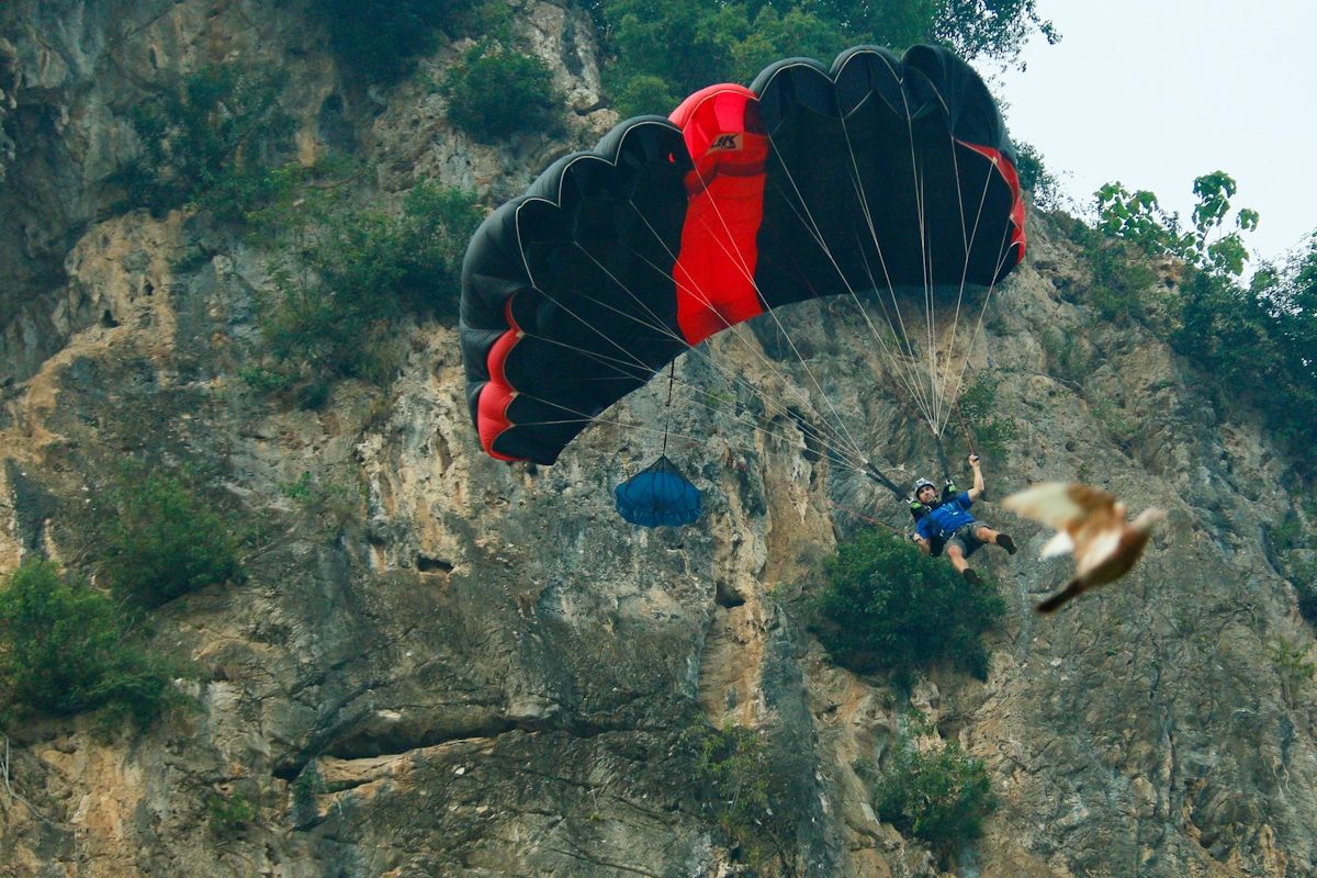 Keterujaan berlegar-legar di ruang udara
