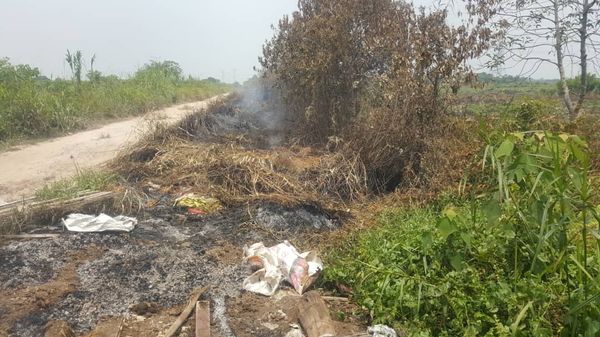 7行动打击公开焚烧