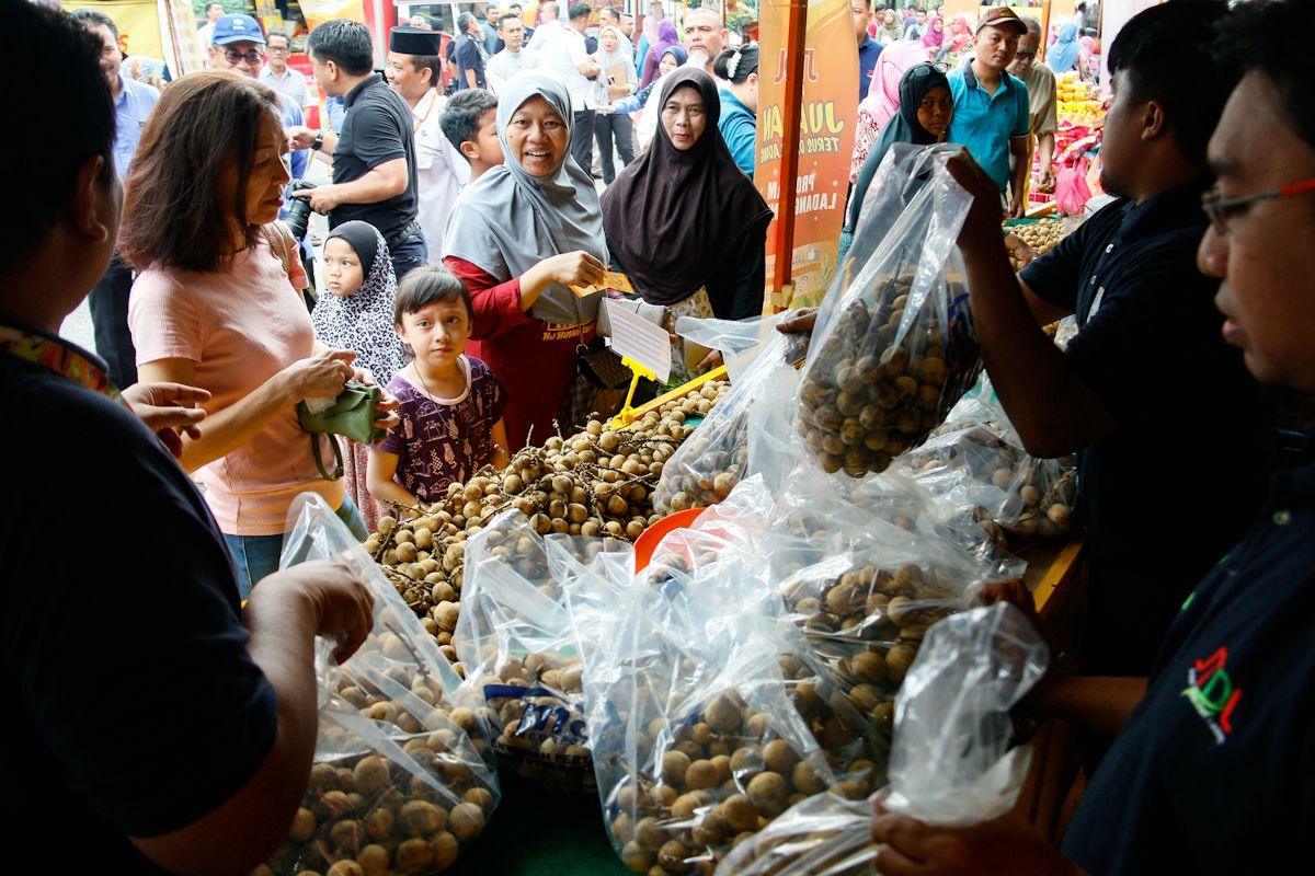 Fama introduces digital marketing