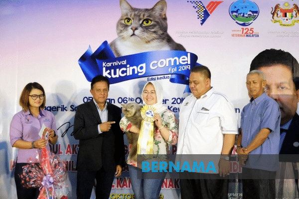 Kes dera kucing, anjing meningkat 30 peratus