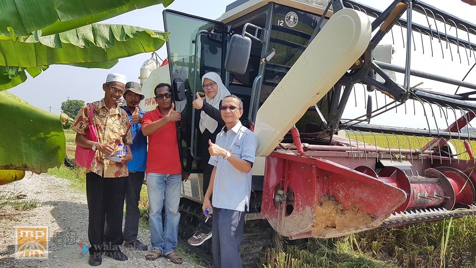 Petani kena muafakat hapus ulat perosak padi