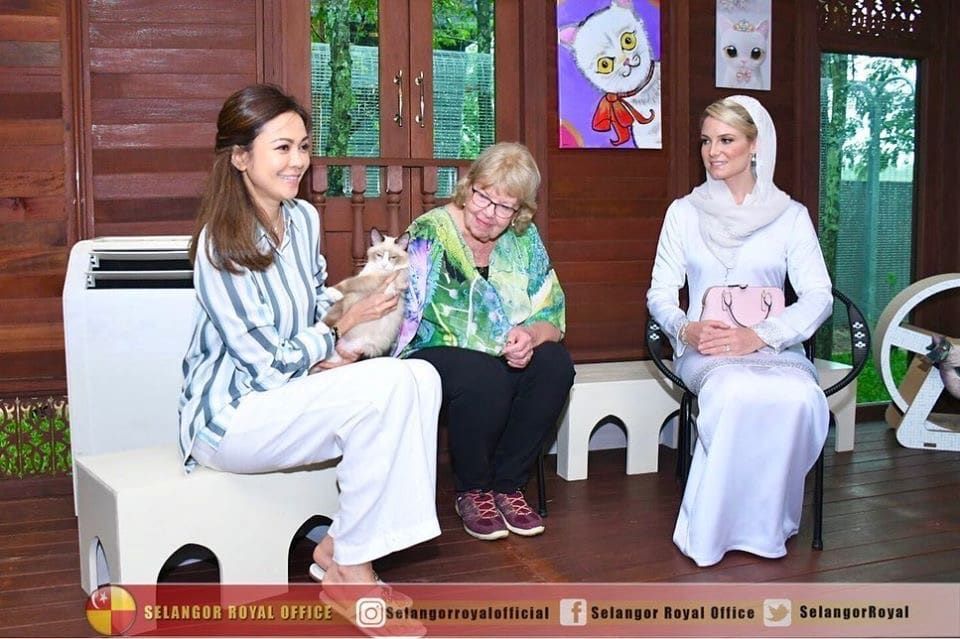 Casa De Cat gamit perhatian Cik Puan Sofie