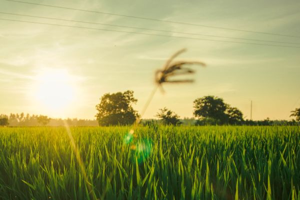 Selangor records 1.86mil domestic tourists