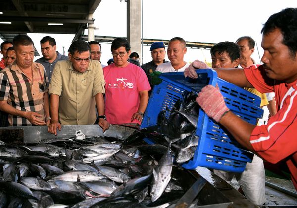 மீன் விநியோக உள் கட்ட அமைப்பின் பலவீனங்களே மீன் வரத்து குறைவுக்கு காரணம்.