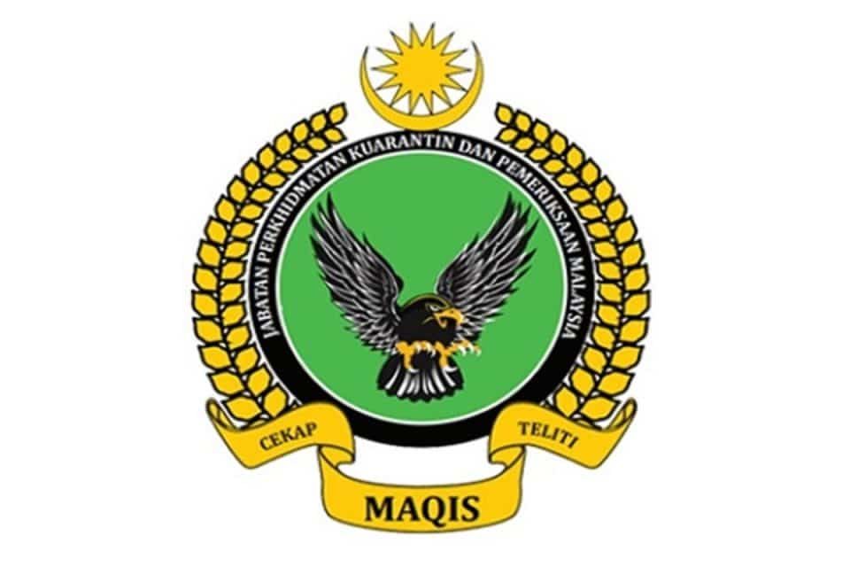 MAQIS Selangor rampas lapan tan metrik produk babi import