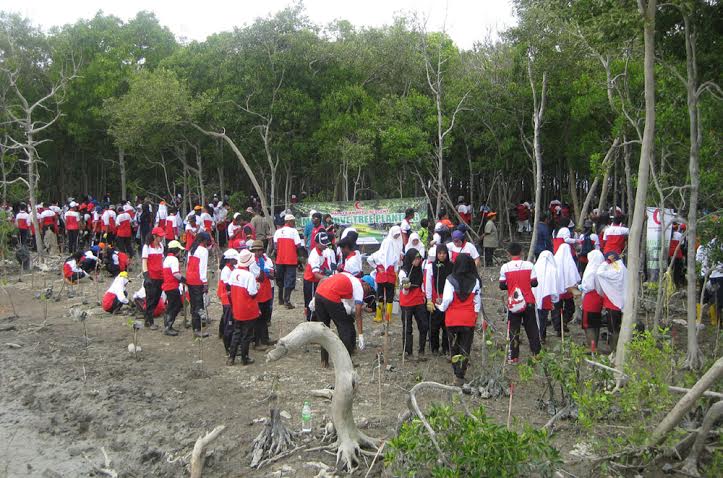 Tanam 100 juta pokok ganti hutan diteroka