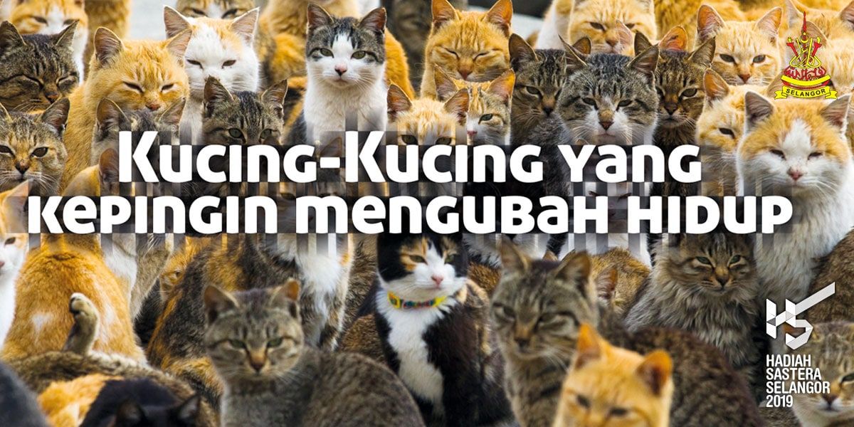 Kucing-Kucing yang kepingin mengubah hidup