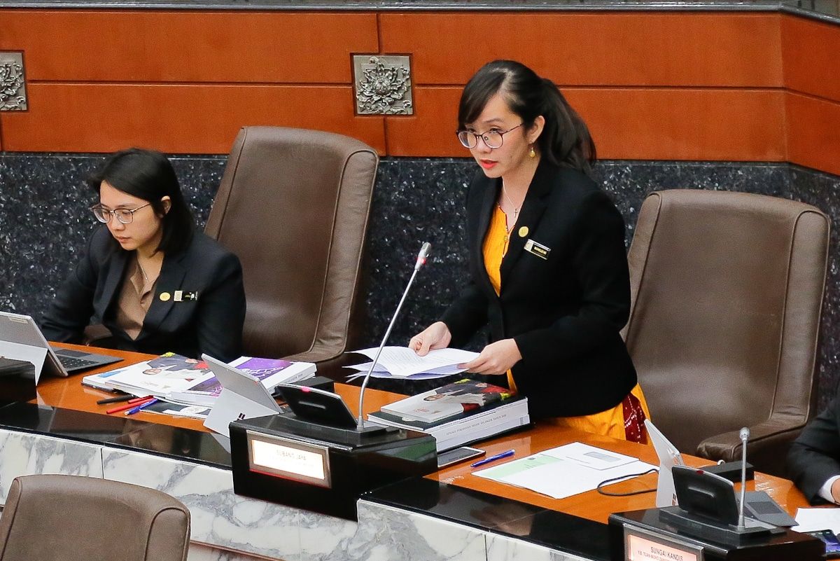 Semua pembangkang `hilang' sesi petang DNS