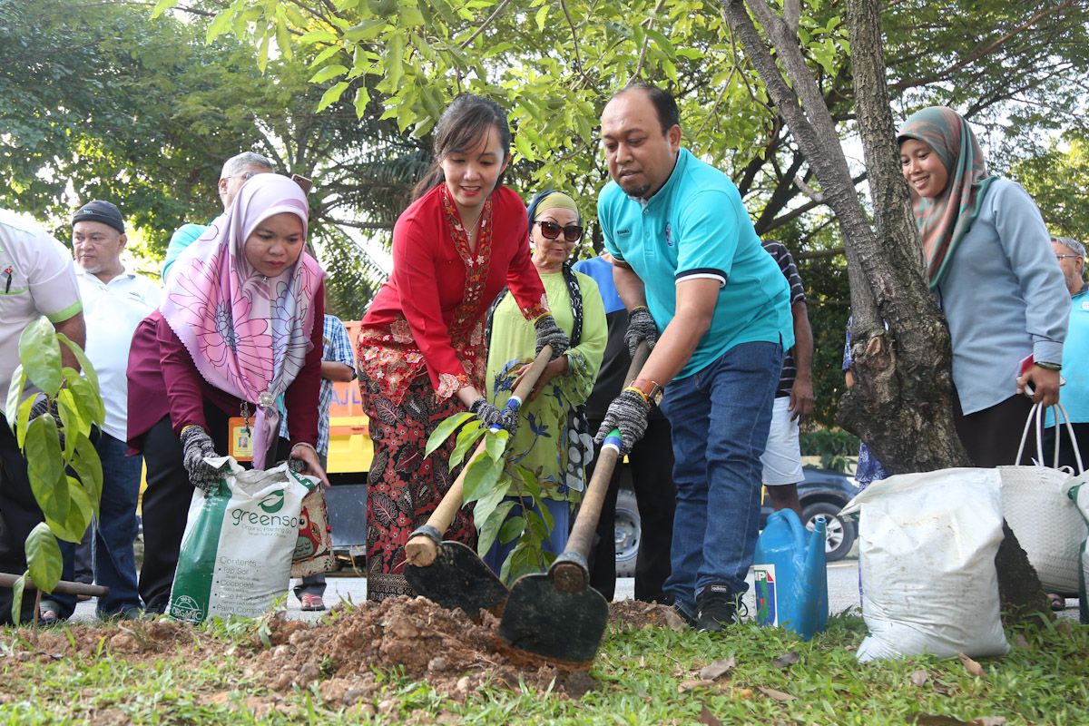 எம்பிஎஸ்ஜே நிர்வாகத்தின் கீழ் 140,412 மரங்கள் நடப்பட்டுள்ளது !!!