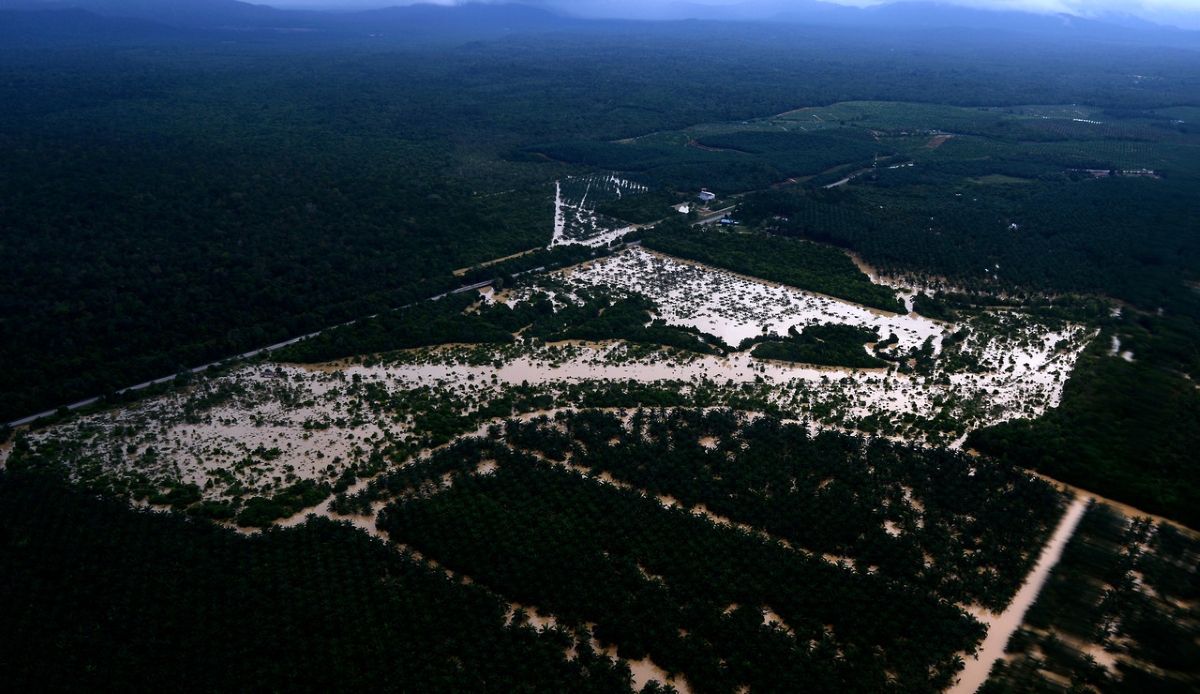 DID forecasts 10 districts in Pahang, 5 in Johor to experience floods due to continuous rain