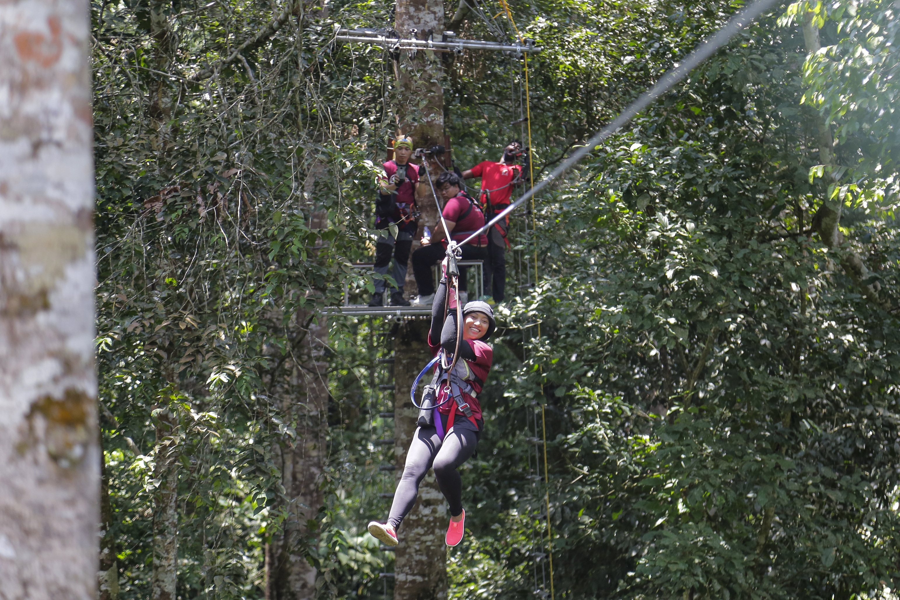 Skytrex Sungai Congkak peluang terbang bagai burung