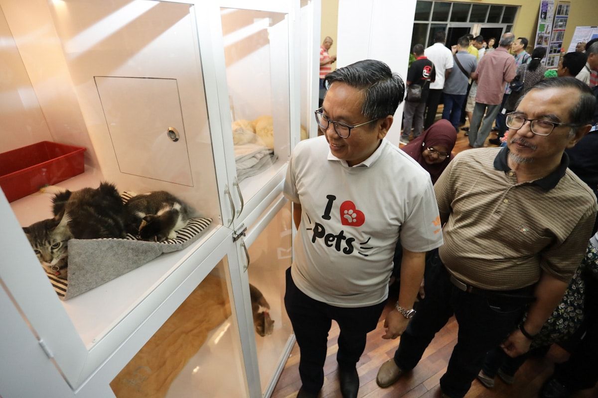 接获1572养狗投诉  巴生市会吁饲主提高醒觉