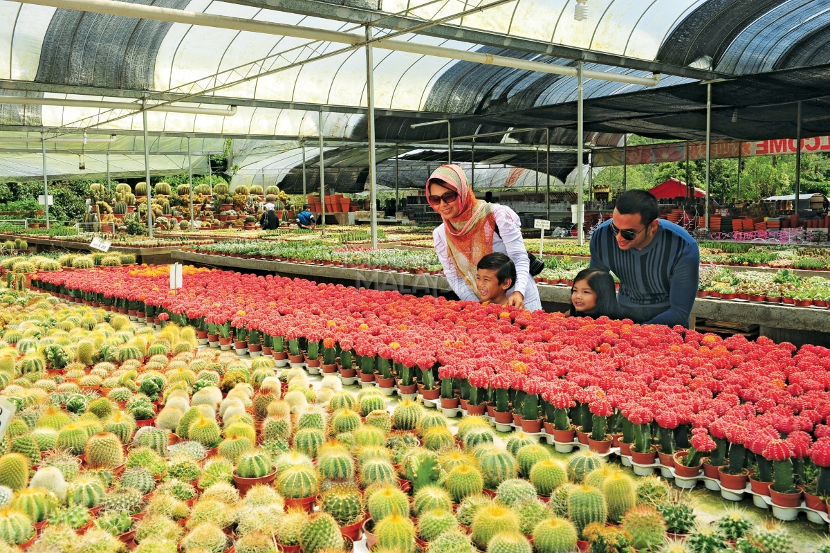 'Jom Cuti-Cuti Malaysia' roadshow to revive domestic tourism in post-Covid-19 era