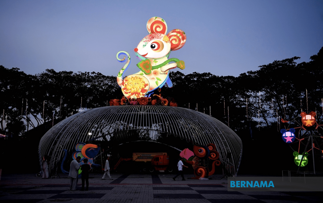 观花灯赏花展  新春来东禅寺打卡！