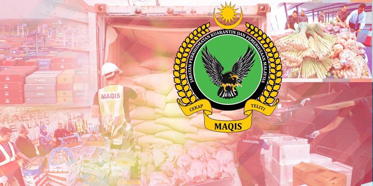 Maqis Selangor tahan kontena susu kambing dari New Zealand